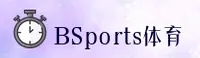 【官方】BSports手机版 - 运动平台